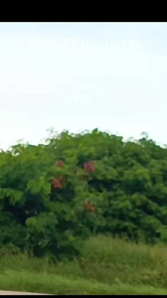 TikTok video thumbnail by narayankunwar36