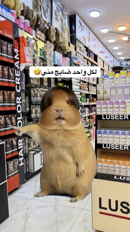 TikTok video thumbnail by m_ws15