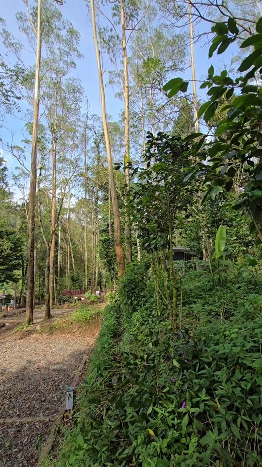 TikTok video thumbnail by nyampaycampingground