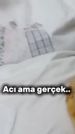 TikTok video thumbnail by glseren.erdem3