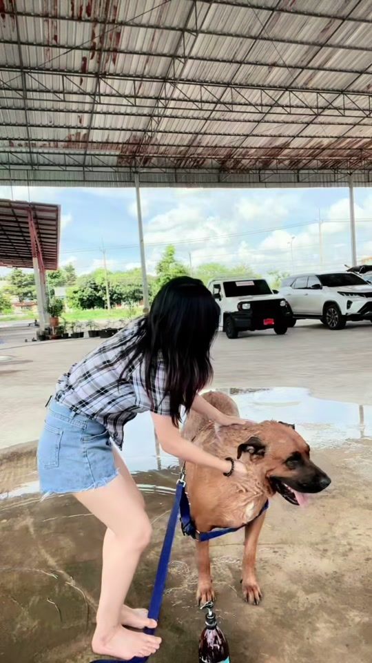 TikTok video thumbnail by prapha.22