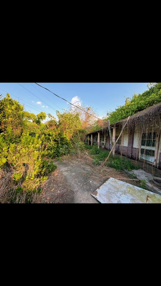 TikTok video thumbnail by tb30926634105