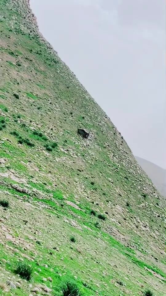TikTok video thumbnail by haethaem..404