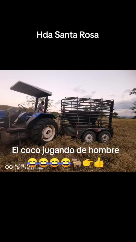 TikTok video thumbnail by pepe_chavarria_