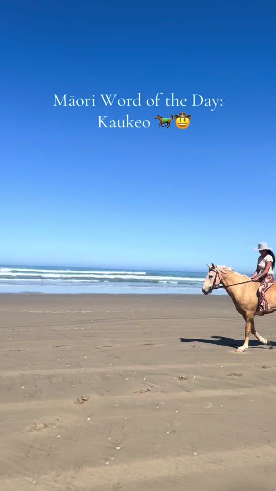 TikTok video thumbnail by zzrangihuna