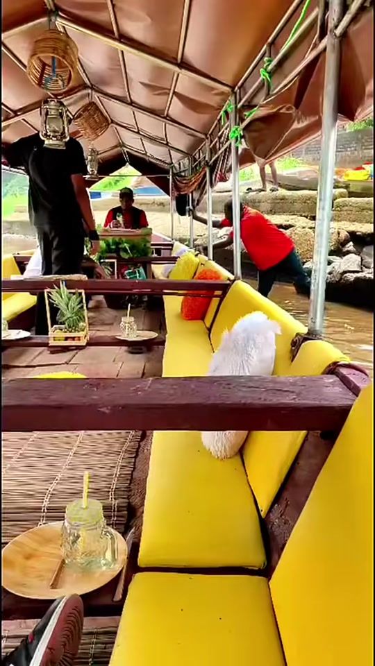 TikTok video thumbnail by randoneeinspiration