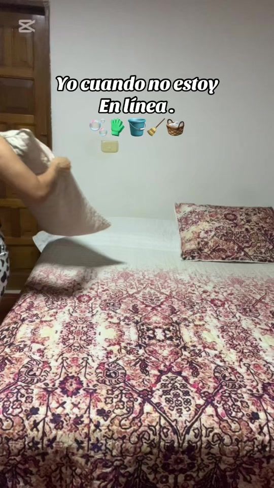 TikTok video thumbnail by laleidyg