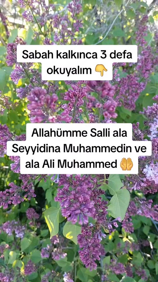 TikTok video thumbnail by faydali_bilgileerr
