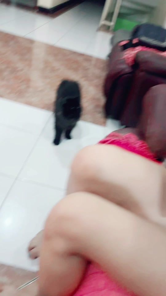TikTok video thumbnail by eyeeyeeee