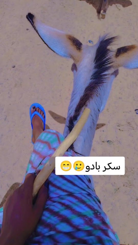 TikTok video thumbnail by user6140787278024