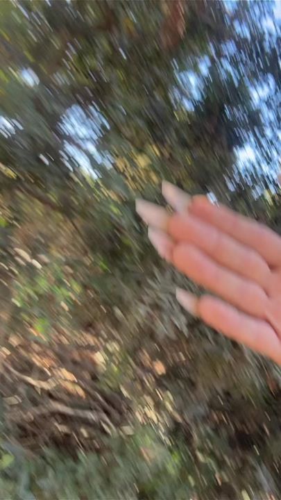TikTok video thumbnail by user547502513