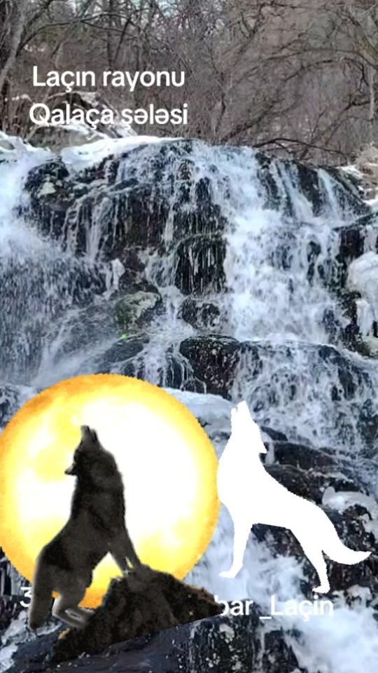 TikTok video thumbnail by 41etibar