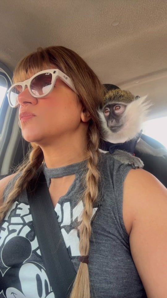 TikTok video thumbnail by cindrellapuppets