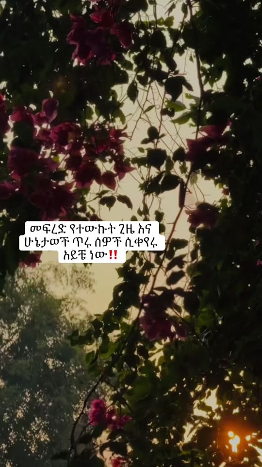 TikTok video thumbnail by mi___han2