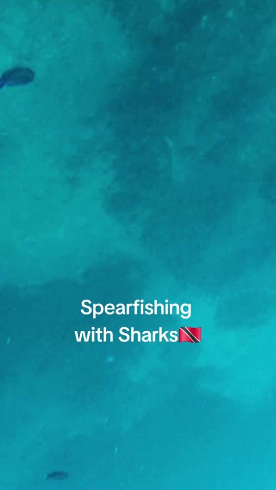 TikTok video thumbnail by justin24lp