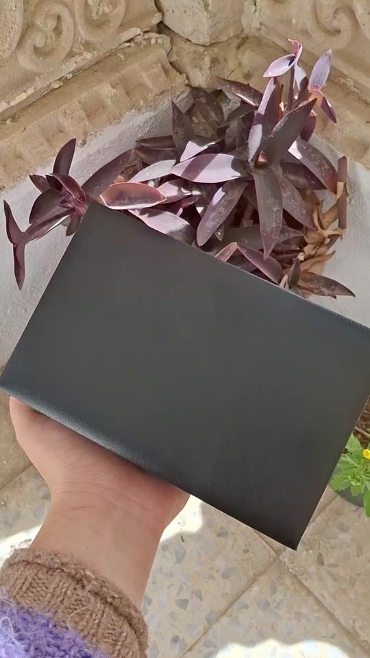 TikTok video thumbnail by delights.store