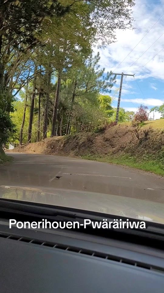 TikTok video thumbnail by trinyamere