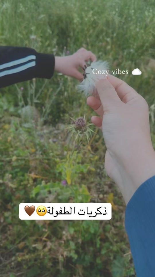 TikTok video thumbnail by azzarefai