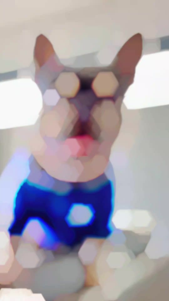 TikTok video thumbnail by jamberry388