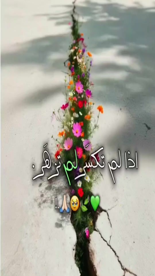 TikTok video thumbnail by _.g.w.g.w._