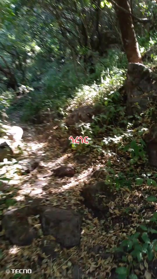 TikTok video thumbnail by temesgentesfawyimer1