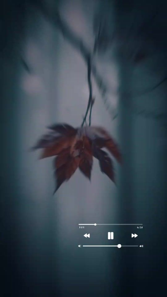 TikTok video thumbnail by kallaraiboy2
