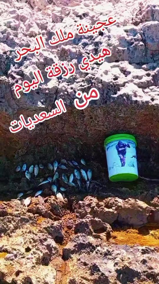 TikTok video thumbnail by maroun_akel