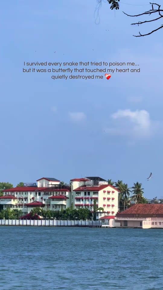TikTok video thumbnail by hurt.diary