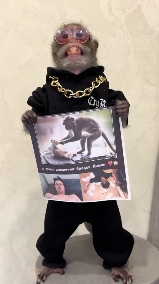 TikTok video thumbnail by samara_monkey_t.me