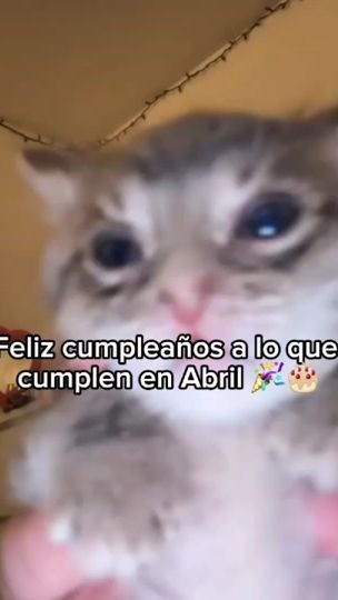 TikTok video thumbnail by venuzzii_