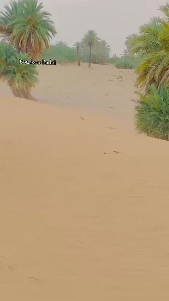 TikTok video thumbnail by mardaimi06
