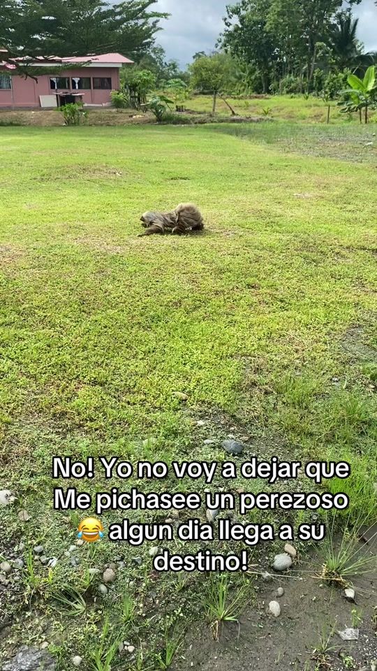 TikTok video thumbnail by tebanmorar
