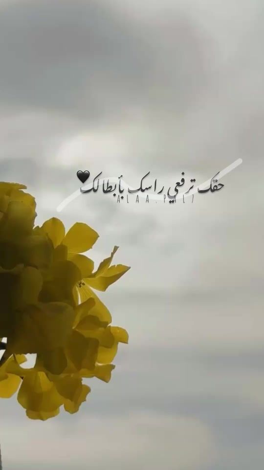 TikTok video thumbnail by alaa.pal7