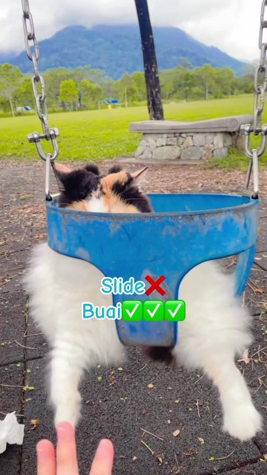TikTok video thumbnail by adekmilo111