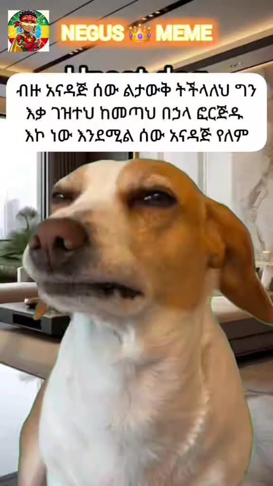 TikTok video thumbnail by negus_meme