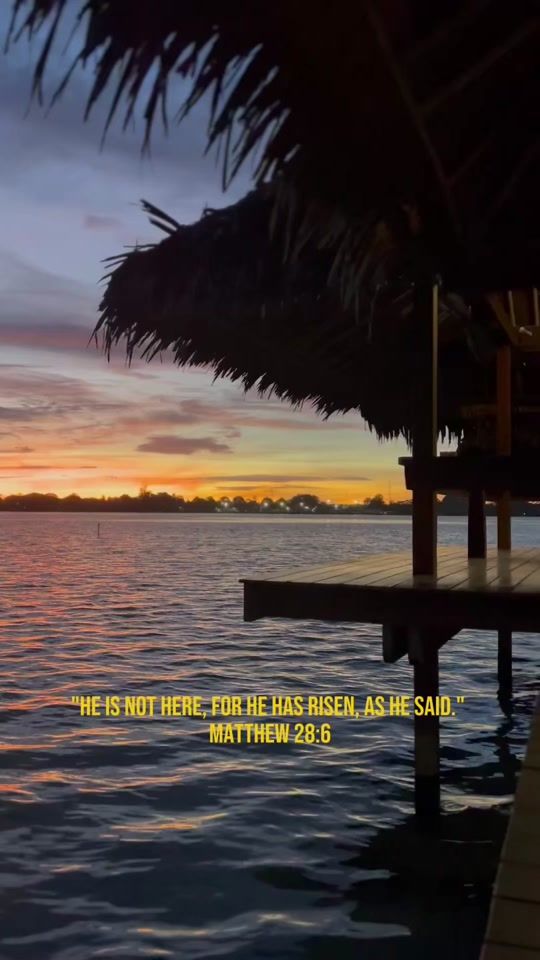 TikTok video thumbnail by cheyenneabel