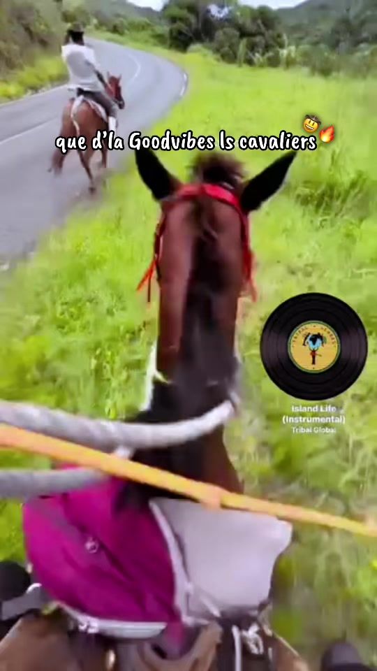 TikTok video thumbnail by __texasknky