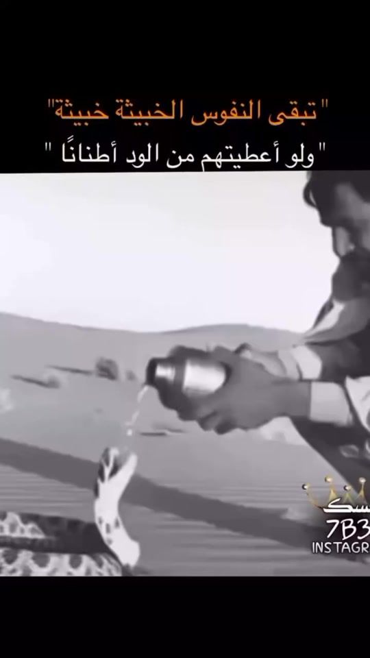 TikTok video thumbnail by 818_488