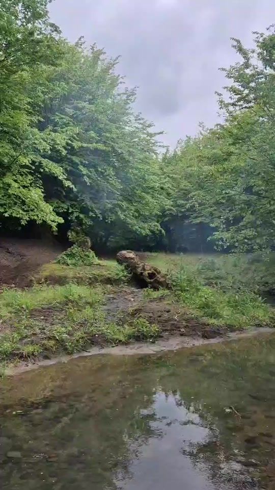 TikTok video thumbnail by asif__084