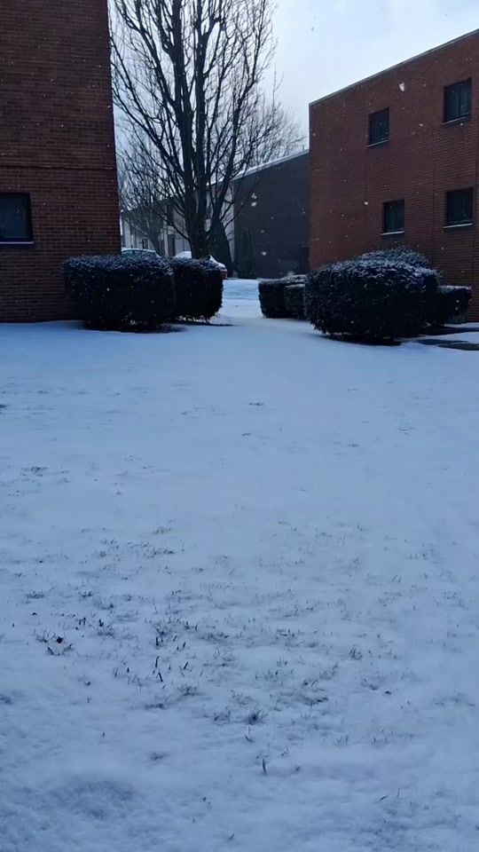 TikTok video thumbnail by bartolon_domi817