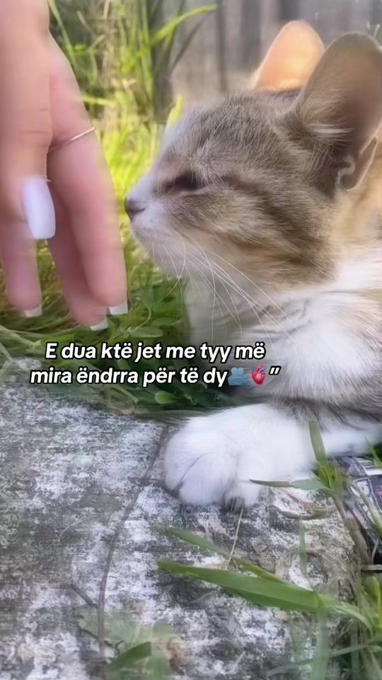 TikTok video thumbnail by youknoww96