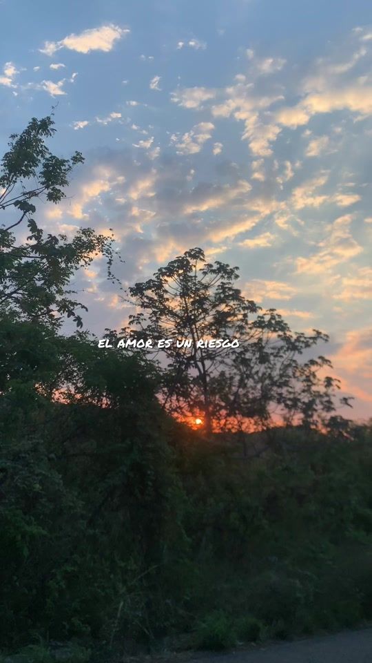 TikTok video thumbnail by michell__ruano__