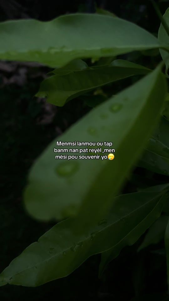 TikTok video thumbnail by marvens_85