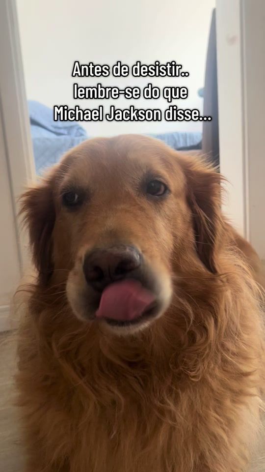 TikTok video thumbnail by ogolden_thor
