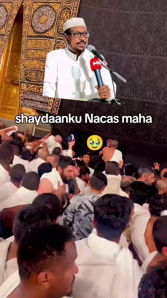 TikTok video thumbnail by hamzedaacad