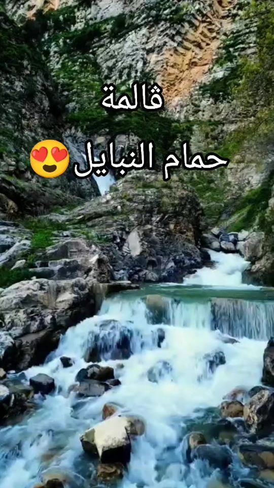 TikTok video thumbnail by cleanratrice