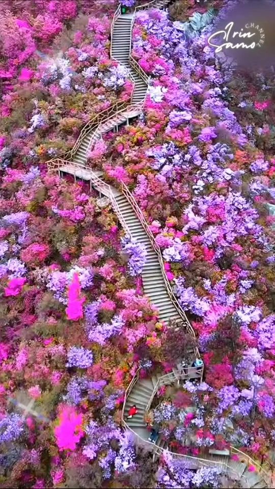 TikTok video thumbnail by irinsamo