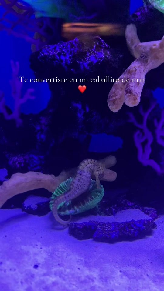 TikTok video thumbnail by liz_pineda_7