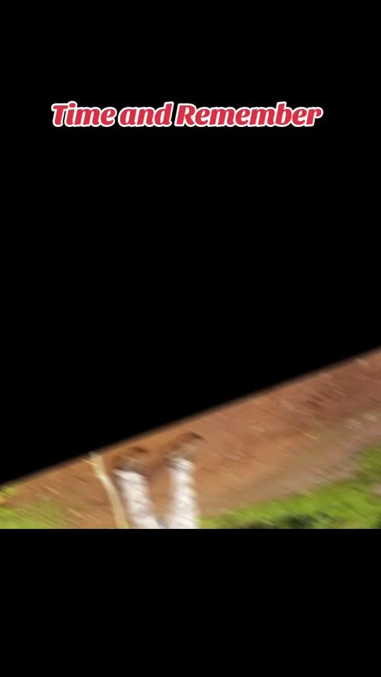 TikTok video thumbnail by amonmujurizi