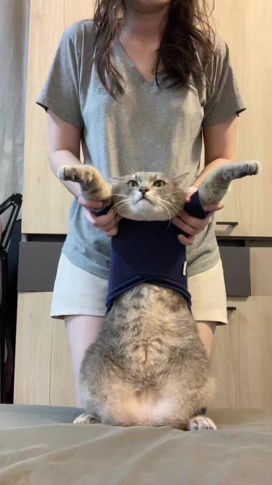 TikTok video thumbnail by mamaimemeow